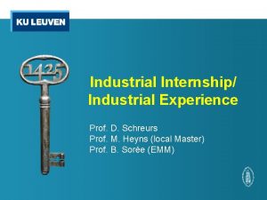 Industrial Internship Industrial Experience Prof D Schreurs Prof