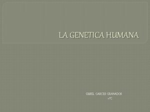 LA GENETICA HUMANA GISSEL GARCES GRANADOS 11C LA