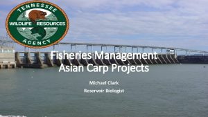 Fisheries Management Asian Carp Projects Michael Clark Reservoir
