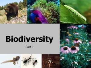 Biodiversity Part 1 Biodiversity Defination Biodiversity is the