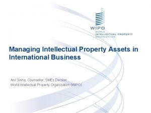 Managing Intellectual Property Assets in International Business Anil