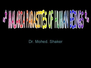 Dr Mohed Shaker Malarial Parasite in the Blood