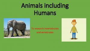 Animals including Humans To research invertebrates and vertebrates