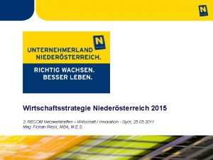 Wirtschaftsstrategie Niedersterreich 2015 3 RECOM Netzwerktreffen Wirtschaft Innovation