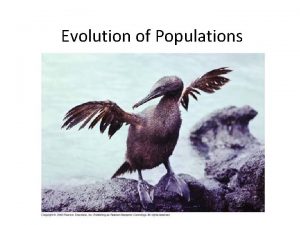 Evolution of Populations Gene Pools 1 All of