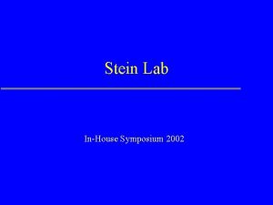 Stein Lab InHouse Symposium 2002 The Plan Overview