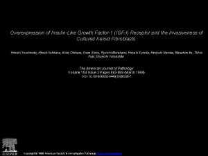 Overexpression of InsulinLike Growth Factor1 IGFI Receptor and