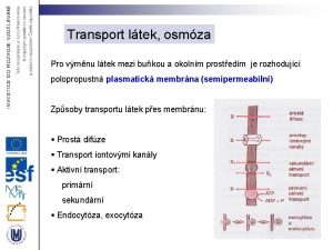 Transport ltek osmza Pro vmnu ltek mezi bukou