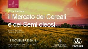 Come funziona il Mercato dei Cereali e dei