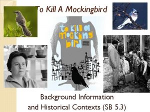 To Kill A Mockingbird Background Information and Historical