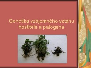 Genetika vzjemnho vztahu hostitele a patogena Genetika Nauka