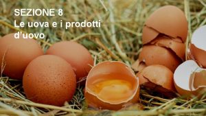 SEZIONE 8 Le uova e i prodotti duovo