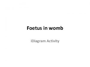 Foetus in womb i Diagram Activity Name the