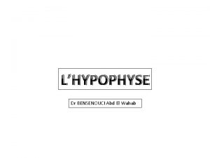 LHYPOPHYSE Dr BENSENOUCI Abd El Wahab Lhypophyse ou