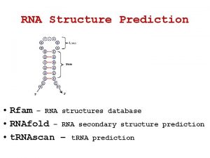 RNA Structure Prediction Rfam RNA structures database RNAfold