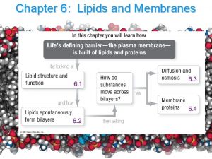 Chapter 6 Lipids and Membranes 6 1 LIPID