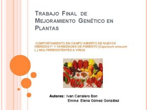 TRABAJO FINAL DE MEJORAMIENTO GENTICO EN PLANTAS COMPORTAMIENTO