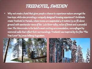 TREEHOTEL SWEDEN Why not create a hotel that