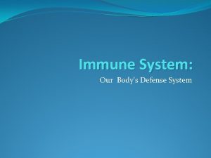 Immune System Our Bodys Defense System THE ROLE
