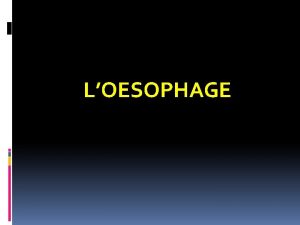 LOESOPHAGE LOESOPHAGE INTRODUCTION STRUCTURE HISTOLOGIQUE DE LSOPHAGE La