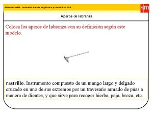 Tema 7 Diversificacin curricular mbito lingstico Estructuras por