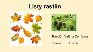 Listy rastln Paed Dr Valria Demkov Prvouka 2