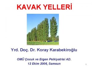 KAVAK YELLER Yrd Do Dr Koray Karabekirolu OM