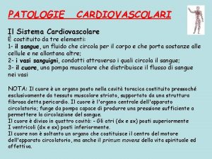 PATOLOGIE CARDIOVASCOLARI Il Sistema Cardiovascolare costituito da tre