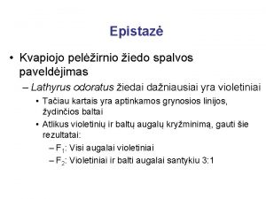 Epistaz Kvapiojo pelirnio iedo spalvos paveldjimas Lathyrus odoratus