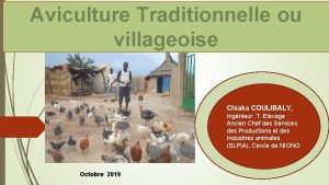 Aviculture Traditionnelle ou villageoise Chiaka COULIBALY Ingnieur T