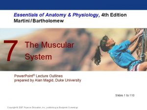 Essentials of Anatomy Physiology 4 th Edition Martini
