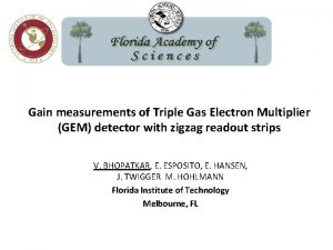 Gain measurements of Triple Gas Electron Multiplier GEM