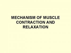 MECHANISM OF MUSCLE CONTRACTION AND RELAXATION Muscle contraction