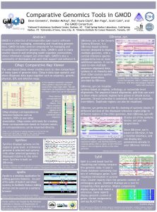 Comparative Genomics Tools in GMOD Dave Clements 1