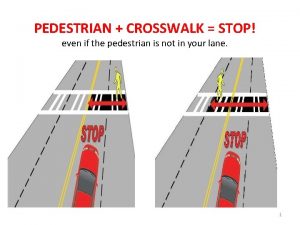 PEDESTRIAN CROSSWALK STOP even if the pedestrian is