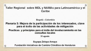 Taller Regional sobre MDL y NAMAs para Latinoamrica