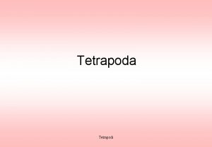Tetrapoda Tetrapodi preadattamenti necessari per la conquista dellambiente