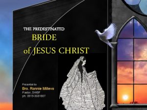 THE PREDESTINATED BRIDE of JESUS CHRIST Presented by