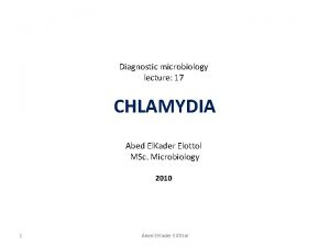 Diagnostic microbiology lecture 17 CHLAMYDIA Abed El Kader