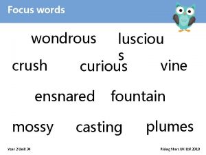 Focus words wondrous crush lusciou s vine curious