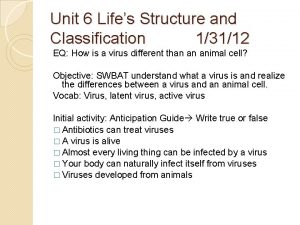 Unit 6 Lifes Structure and Classification 13112 EQ