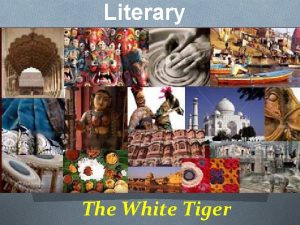 Literary techniques The White Tiger The White Tiger
