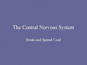 The Central Nervous System Brain and Spinal Cord