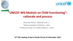 UNICEFWG Module on Child Functioning rationale and process