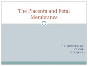 The Placenta and Fetal Membranes PRESENTED BY LT