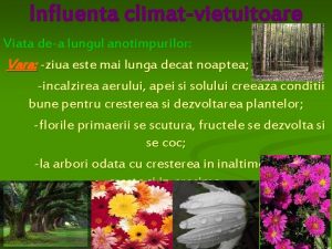 Influenta climatvietuitoare Viata dea lungul anotimpurilor Vara ziua