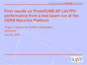 First results on Proto DUNESP LAr TPC performance