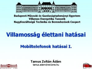 Budapesti Mszaki s Gazdasgtudomnyi Egyetem Villamos Energetika Tanszk