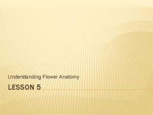 Understanding Flower Anatomy LESSON 5 NEXT GENERATION SCIENCECOMMON