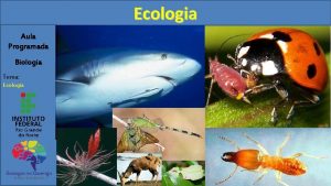 Ecologia Aula Programada Biologia Tema Ecologia Ecologia Conceitos